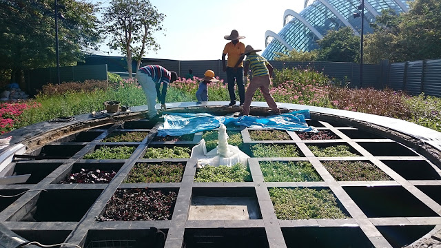 Audemars Piguet Unveils Royal 