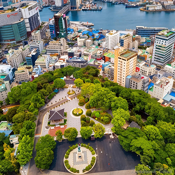 Hilltop Park Floral Clock in South Korea — Landmark Outdoor Flower Clock Display